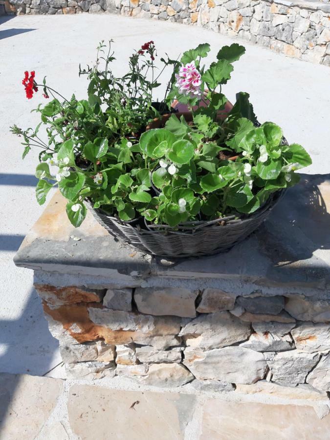 Peaceful Home Olea Oblica Primošten Exterior foto
